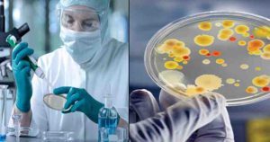 微生物免疫與生物藥學系出路