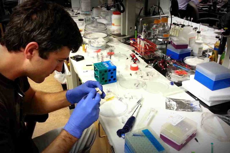 生物醫學工程學系在幹嘛？四大工作領域與畢業生就業職位全解析
