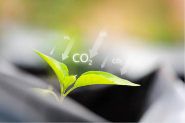 environmental science出路、收分、職業分析、常見問題