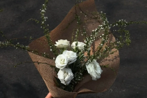 桔梗花束圖片