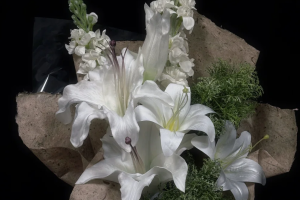 百合花束圖片